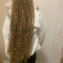 Senegalese Twist