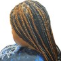 Small Box Braids (regular or knotless)