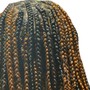 Small Box Braids (regular or knotless)