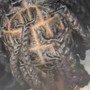 Comb Twist/ Starter Locs