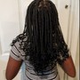 Havana Twists