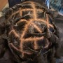 Retwist/styles