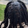 Starter Locs