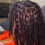 Starter Locs