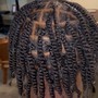 Two Strand Twists