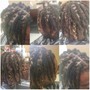 Extended Starter Locs