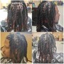 Extended Starter Locs