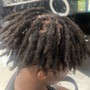 Root Touch Up - Locs