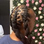 Sleek Ponytail/Bun