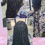 Senegalese Twist ( Starting Price  )