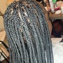 Alice Keys Kid's Braids