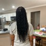 Mid Back Soft Locs