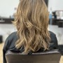 Partial Highlights (Short hair)