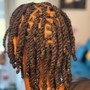 Basic shampoo+Retwist +2 strands or Plaits