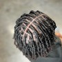 Starter locs - (pass shoulders)