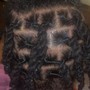 Sew In