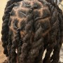 Starter Locs