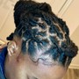 Natural Mini Twist