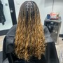 Shampoo and Blow Dry For Braid Services