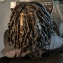 Starter Locs