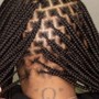 Feed In (2) Braids