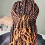 Passion twist (shoulder length)