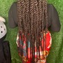 Senegalese Twist / large