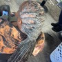 Wash Retwist Style