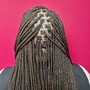 Tree Braids