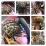 Starter Locs (2strand twist method)