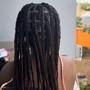 Women's Stitch Braids - 2 Straight Backs