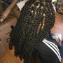 Individual Braids