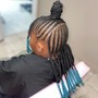 Kids Stitch Braids (4-6 braids)