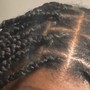 Medium Knotless Braids