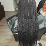 Box Braids