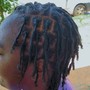 Starter Locs