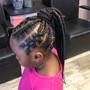 Kids Braided Ponytail