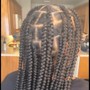 Starter Locs