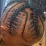 Starter Locs