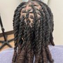 * HOLIDAY SPECIAL  FIRST TIME CLIENT ONLY * Loc Maintenance (traditional Locs)