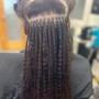 Two Strand Twists