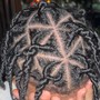 Starter Locs