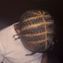 Starter Locs