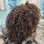 Loc Re-twist (85+ Locs)