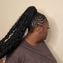 Stitch Braid Ponytail