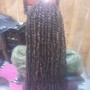 Kinky Twist