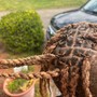 Loc Maintenance Day Detox & Stream Treatments