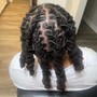 Starter locs