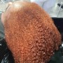 Root Touch Up