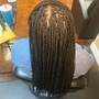 Starter Locs